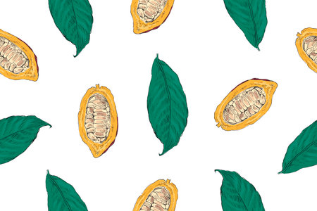 Tropical seamless pattern backgrounds from cocoa beans, cacao leaves and flowers. wallpaper template design. hand drawn vector illustration.のイラスト素材