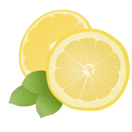 Fresh lemon fruits with leaf. Lemon vector illustration set. Whole, cut in half, sliced on pieces lemons.Lemon    icon.のイラスト素材