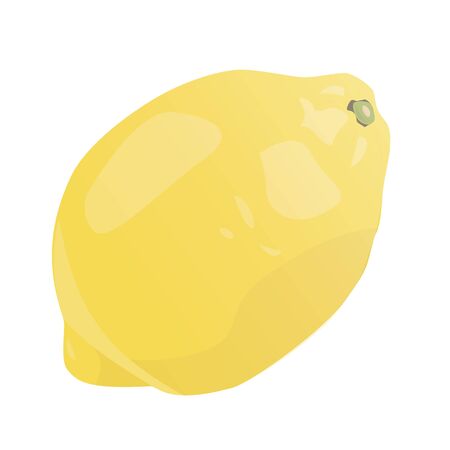 Fresh lemon fruits. Lemon vector illustration set. Whole, cut in half, sliced on pieces lemons.Lemon   icon.のイラスト素材