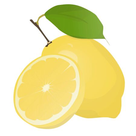 Fresh lemon fruits with leaf. Lemon vector illustration set. Whole, cut in half, sliced on pieces lemons.Lemon    icon.のイラスト素材