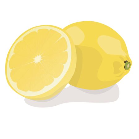 Fresh lemon fruits. Lemon vector illustration set. Whole, cut in half, sliced on pieces lemons.Lemon   icon.のイラスト素材
