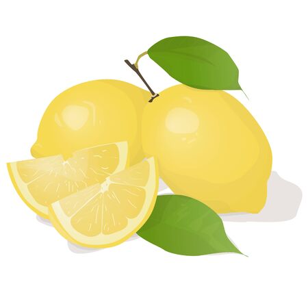 Fresh lemon fruits with leaf. Lemon vector illustration set. Whole, cut in half, sliced on pieces lemons.Lemon  icon.のイラスト素材
