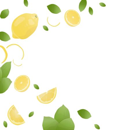 Minimalist citrus fruit greeting card template designのイラスト素材