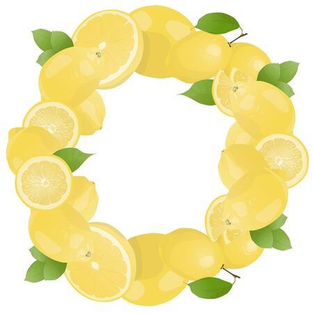 Citrus fruit greeting card template design. Minimalist citrus fruit greeting card template designのイラスト素材