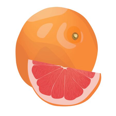 Realistic citrus image. Red oranges fruits and slices isolated on white background. Grapefruitのイラスト素材