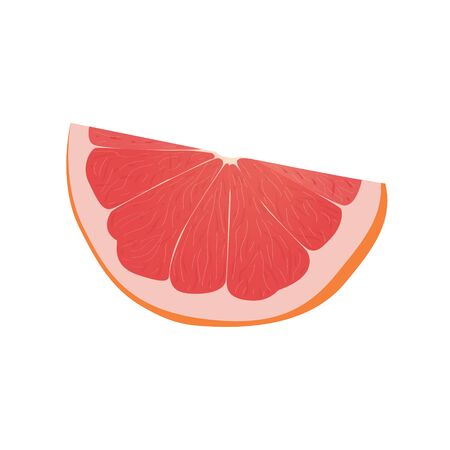 Realistic citrus image. Red oranges fruits isolated on white background.のイラスト素材