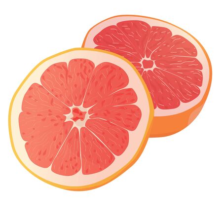 Realistic citrus image. Red oranges fruits and slices isolated on white background.のイラスト素材