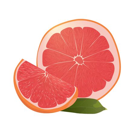 Realistic citrus image Red oranges fruits and slices with leaf isolated on white background.のイラスト素材