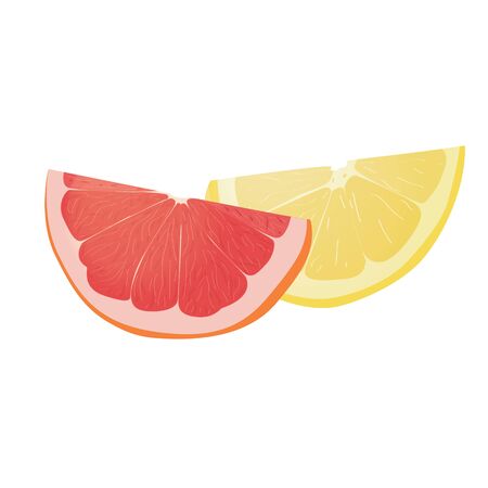 Realistic citrus image. Red oranges fruits isolated on white background. Grapefruit and lemon.のイラスト素材