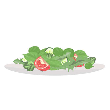 Salad on white plate. Tomato, cucumber, arugula, spinachのイラスト素材