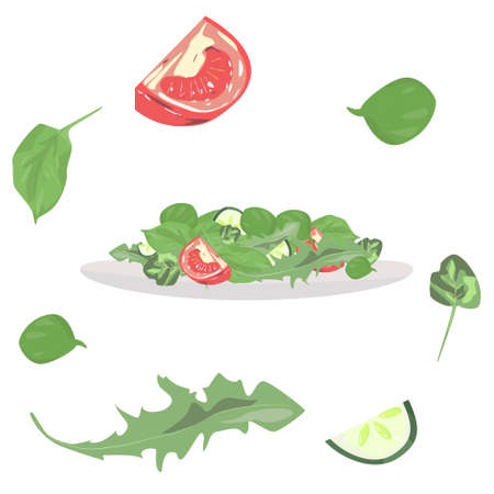 Salad on white plate salad includes tomato cucumber arugula spinachのイラスト素材