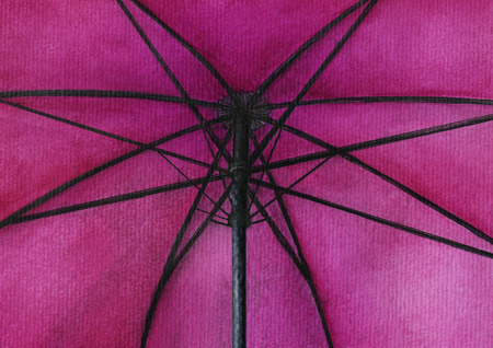 Violet umbrella.の写真素材