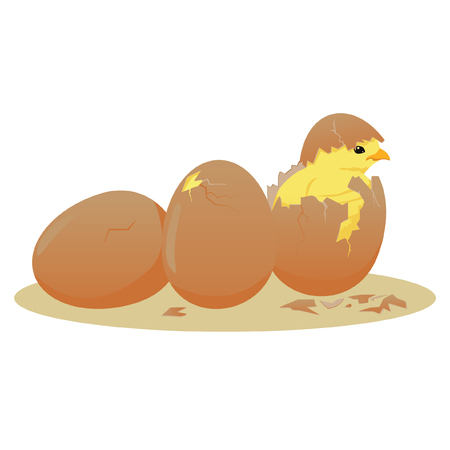 Newborn chickens hatching from eggのイラスト素材