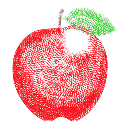 Fresh red apple. Hand drawn sketch style eco food drawing on white background.のイラスト素材