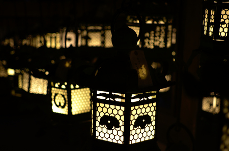 Kasuga Taisha shrine lanternsの写真素材