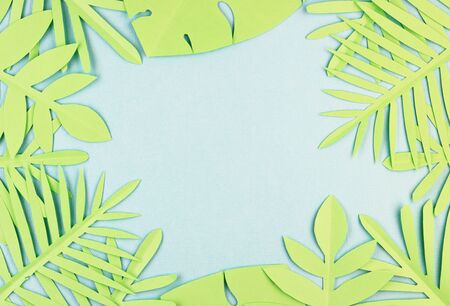 Green paper tropical palm leaves on a pastel blue background. summer exotic background top viewの写真素材