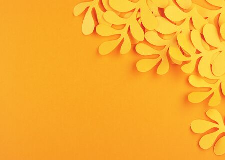 tropical yellow autumn leaves cut out of paper on a yellow background. autumn background of fallen Golden leavesの写真素材