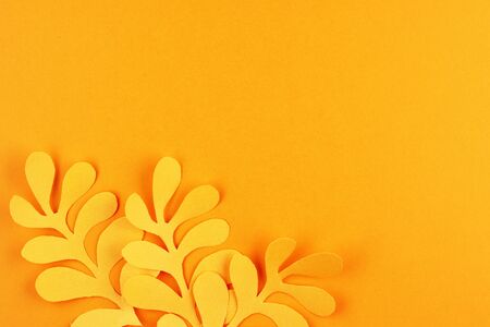 tropical yellow autumn leaves cut out of paper on a yellow background. autumn background of fallen Golden leavesの写真素材