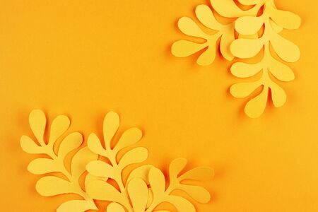 tropical yellow autumn leaves cut out of paper on a yellow background. autumn background of fallen Golden leavesの写真素材
