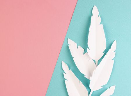 white paper feathers on a pink and blue background, top view. paper decoration on a pastel backgroundの写真素材