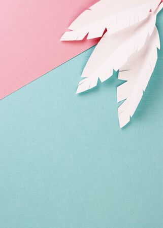 white paper feathers on a pink and blue background, top view. paper decoration on a pastel backgroundの写真素材