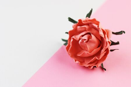 red elastic band for hair in the form of a flower. a scarlet flower on a pastel pink background. women's hair accessoryの写真素材
