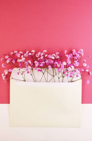 pink fluffy ornamental plants in an envelope. white envelope with decorations on a pink background. pastel purple background for women's daysの写真素材
