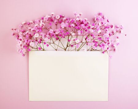 Beautiful spring purple flowers in a postal envelope on a pink paper background. Top view, flat stylingの写真素材