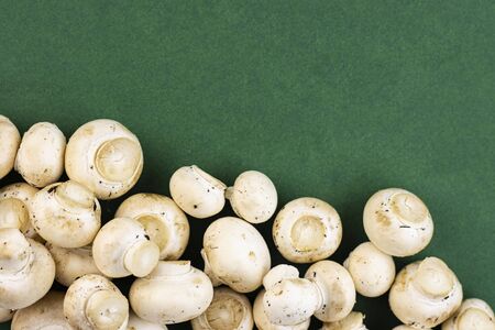 lots of mushrooms close-up on a green background, top view. source of vegetable protein, food for vegetariansの写真素材