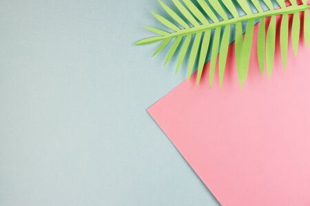 green leaves of exotic plants at the top of the page. blue and pink exotic background. summer background with palm leaves in pastel colorsの写真素材