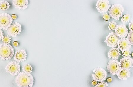 white chamomile flowers on a light background top view. a bouquet of spring flowers arranged around the edges on a blue tableの写真素材