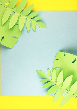 various tropical leaves on a yellow and blue background, top view. exotic background with paper green leavesの写真素材