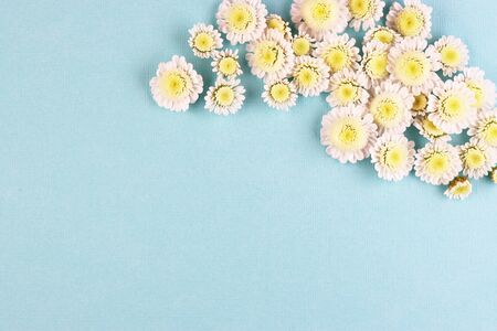 white chamomile flowers on a light background top view. a bouquet of spring flowers on a blue tableの写真素材