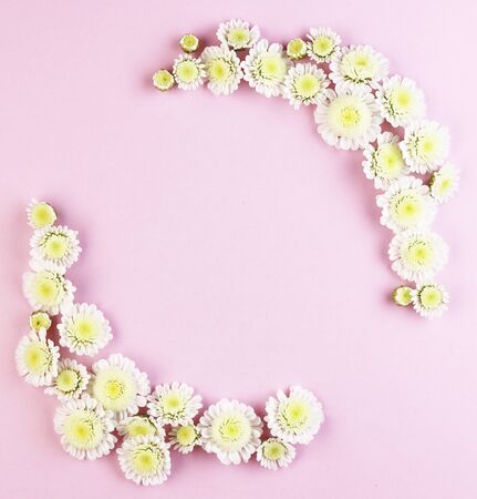white chamomile flowers on a pink background top view. a bouquet of spring flowers arranged in the cornersの写真素材