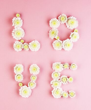 the word love is lined with flowers top view. white spring flowers daisies on a pink backgroundの写真素材