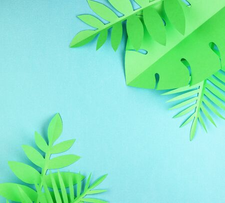 various tropical leaves on a blue background, top view. exotic background with paper green leavesの写真素材
