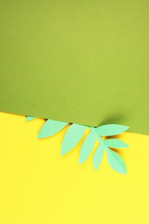 various tropical leaves on a yellow and green background, top view. exotic background with paper green leavesの写真素材