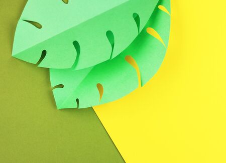 various tropical leaves on a yellow and green background, top view. exotic background with paper green leavesの写真素材