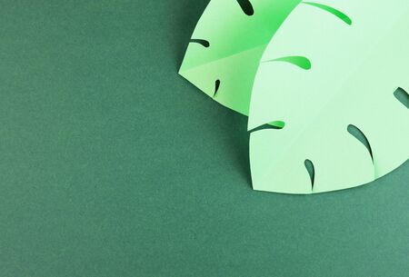 various tropical leaves on a dark green background, top view. exotic background with paper green...