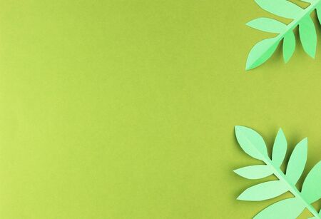 various tropical leaves on a green background, top view. exotic background with paper green leavesの写真素材