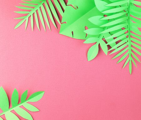 various tropical leaves on a dark red background, top view. exotic background with paper green leavesの写真素材