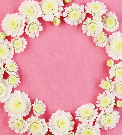 white chamomile flowers on a pink pastel background top view. a bunch of spring flowers arranged in a circleの写真素材