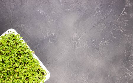 Green flax sprouts on a black marble background, top view. Raw sprouts microgreen, healthy food conceptの写真素材