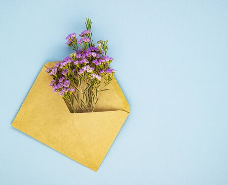 Beautiful spring purple flowers in a postal envelope on a blue paper background. Top view, flat styling. background for women's holidaysの写真素材