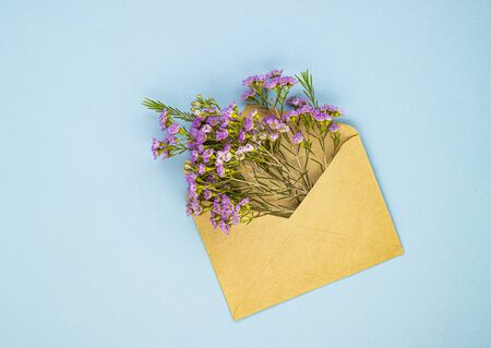 Beautiful spring purple flowers in a postal envelope on a blue paper background. Top view, flat styling. background for women's holidaysの写真素材