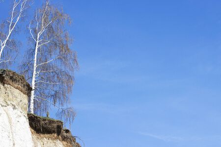 a steep vertical slope of white stone and clay with growing birches. a small mountain under a blue skyの写真素材