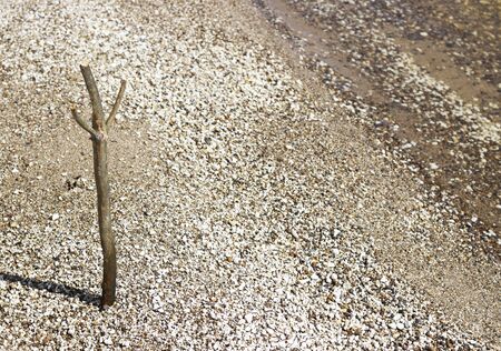 small pebbles with rounded stones close-up for background. device for fishing on a stone surface on the Bank of the river seaの写真素材