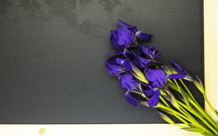 school Board with beautiful colors, space for text. teacher's day. back to schoolの写真素材