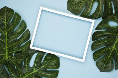 Creative layout made of tropical leaves and a white border on a pastel blue background. Concept of the beauty of nature. Exotic tropical background. Flat layの写真素材