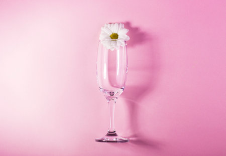 white flower inside a glass champagne glass, on a pink background. easy style, the concept is simple itemsの写真素材